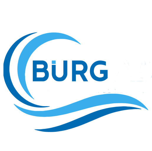 Burg Adm Consultor de Negocios
